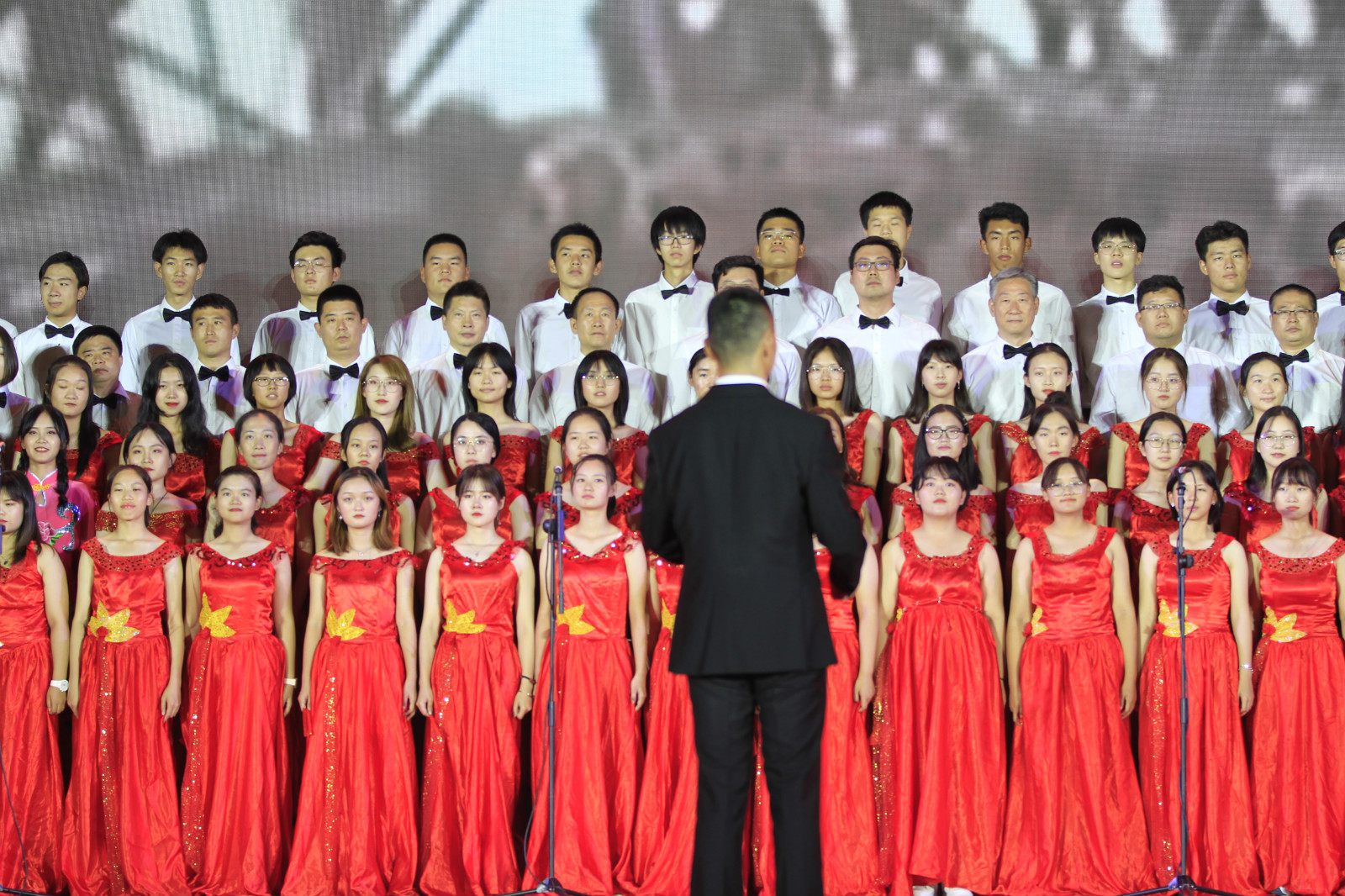 019c885020114d1d879afb75eaca30f9.jpg
